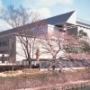 museums10-3bd223c161be24303216e192029899c5