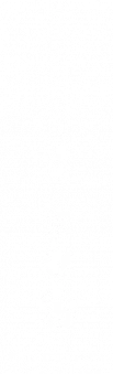57344454