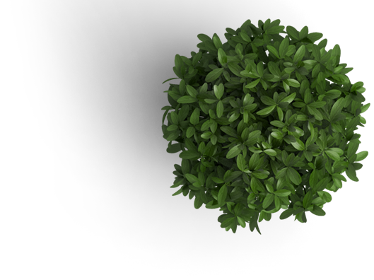 header_flowerpot52282